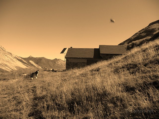 Laruns_Peyrelue_3_cabane.jpg - La cabane de Peyrelue